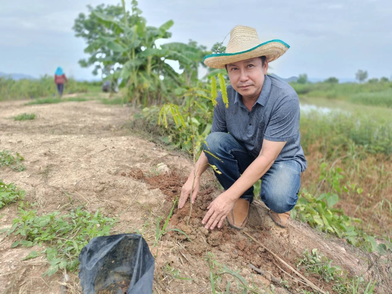 catalogs_file_163_4_1_282071.webp